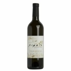 Pigato Lunae Riviera Ligure Di Ponente Doc Terre Ferme