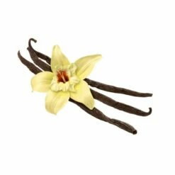 Vaniglia Di Thaiti A Baccello Wiberg 48g